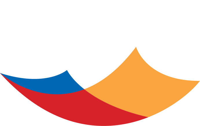 Logo of PSP Net